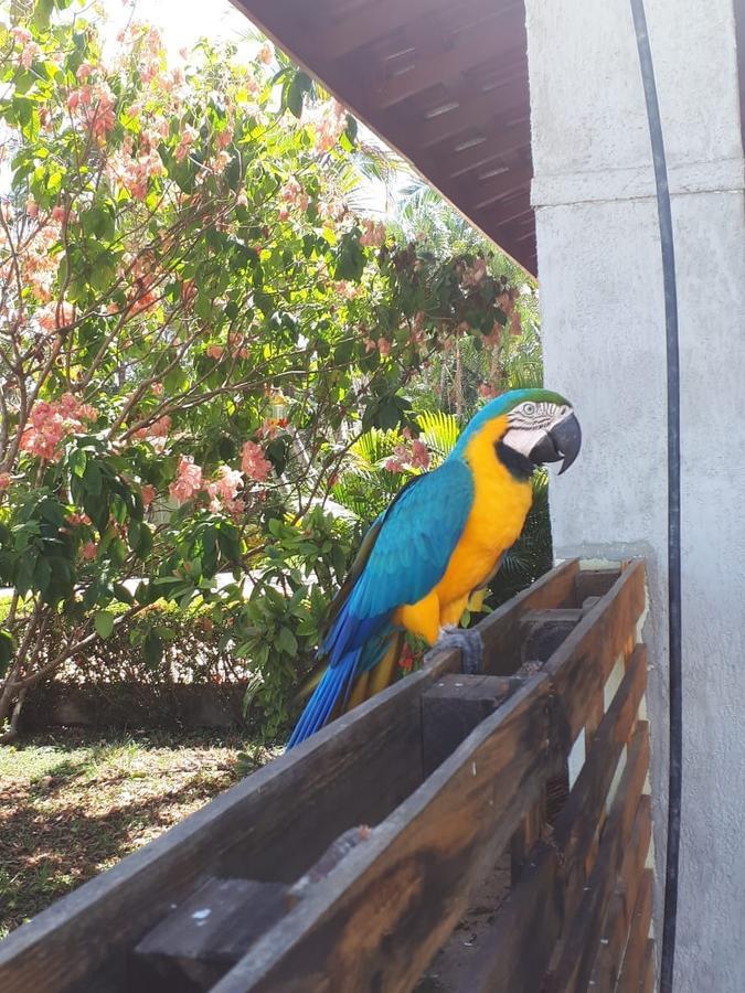 Pousada Recanto Dos Passaros Balsas Buitenkant foto
