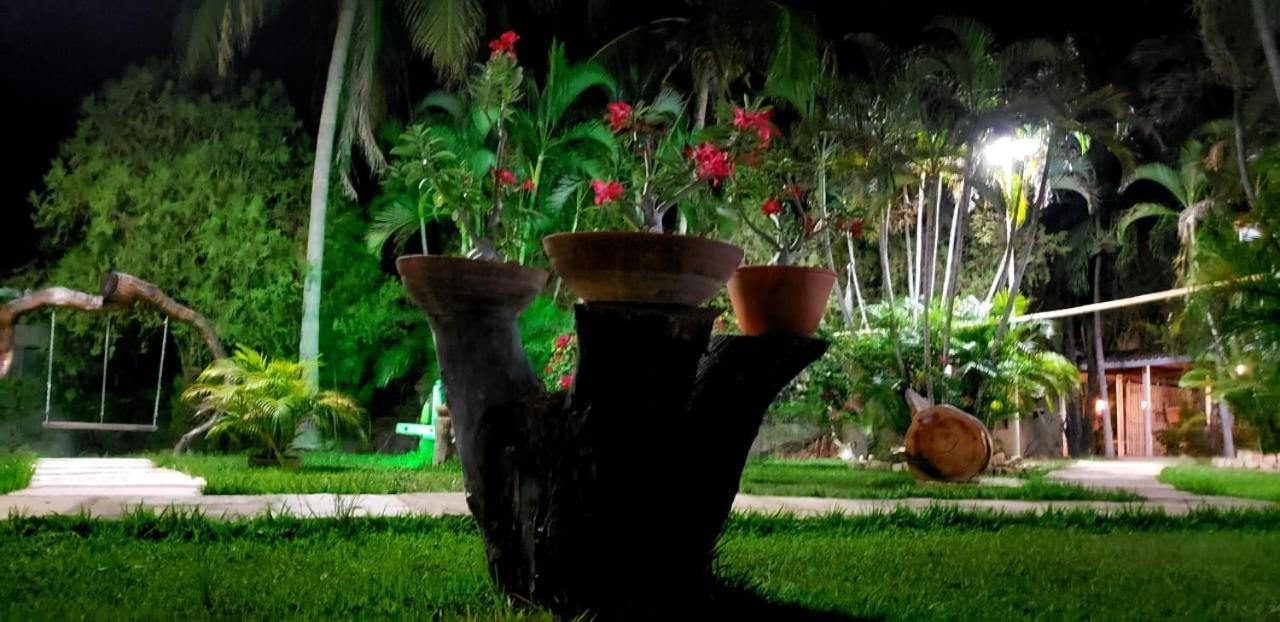 Pousada Recanto Dos Passaros Balsas Buitenkant foto