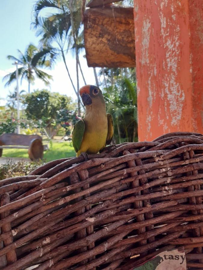 Pousada Recanto Dos Passaros Balsas Buitenkant foto