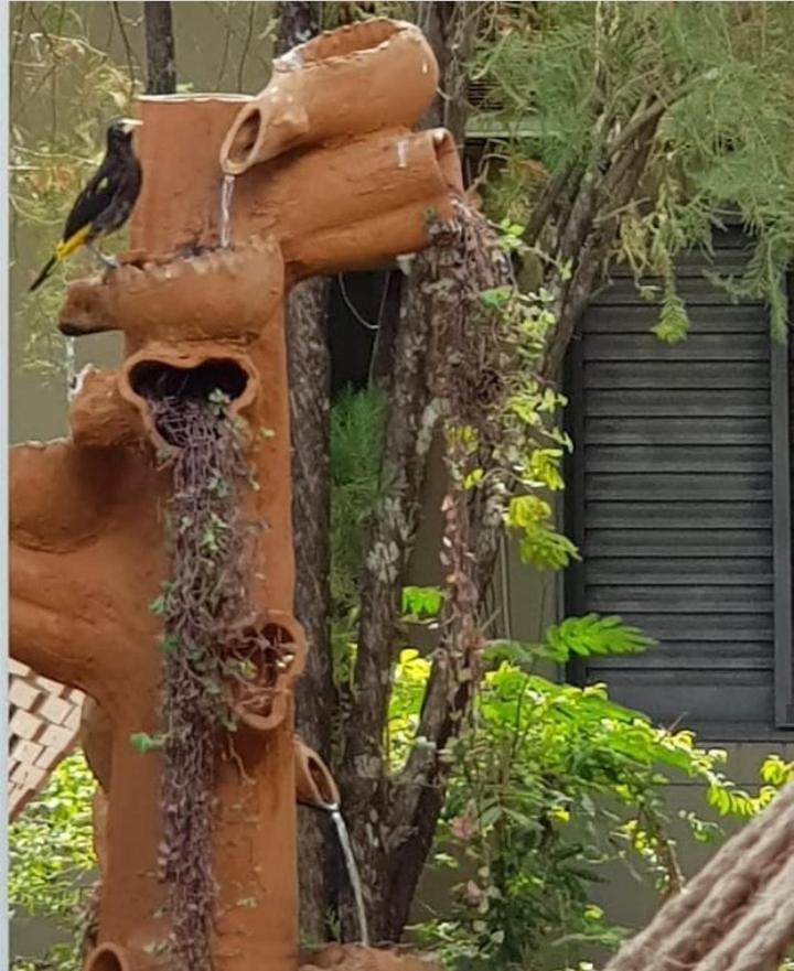 Pousada Recanto Dos Passaros Balsas Buitenkant foto